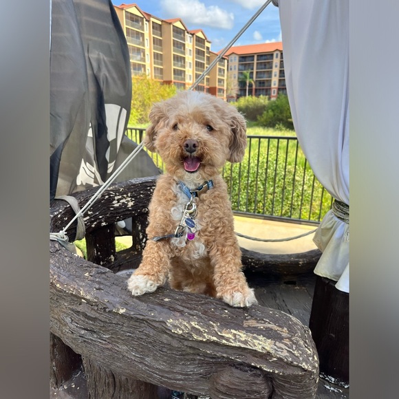 Hey y’all! 🪩💖 - Picture 11 of 13